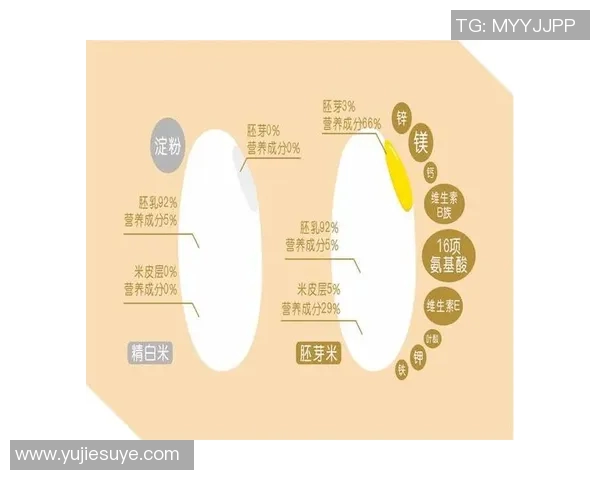 大米的营养价值与全球粮食安全:探讨大米对健康与经济的深远影响 大米的营养价值与全球粮食安全:探讨大米对健康与经济的深远影响