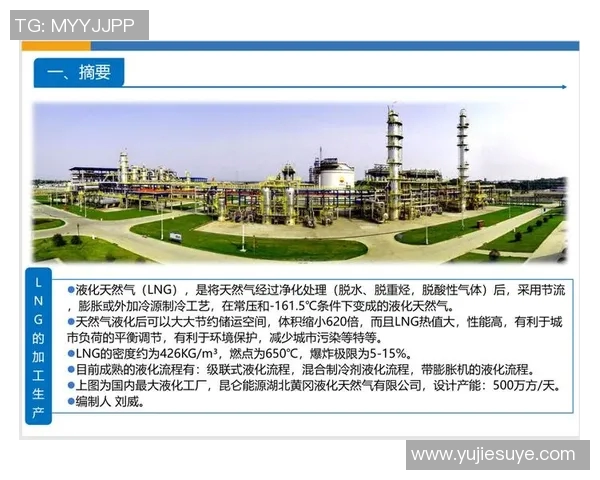LNG市场竞争新策略深度分析与解读